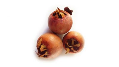 Muşmula